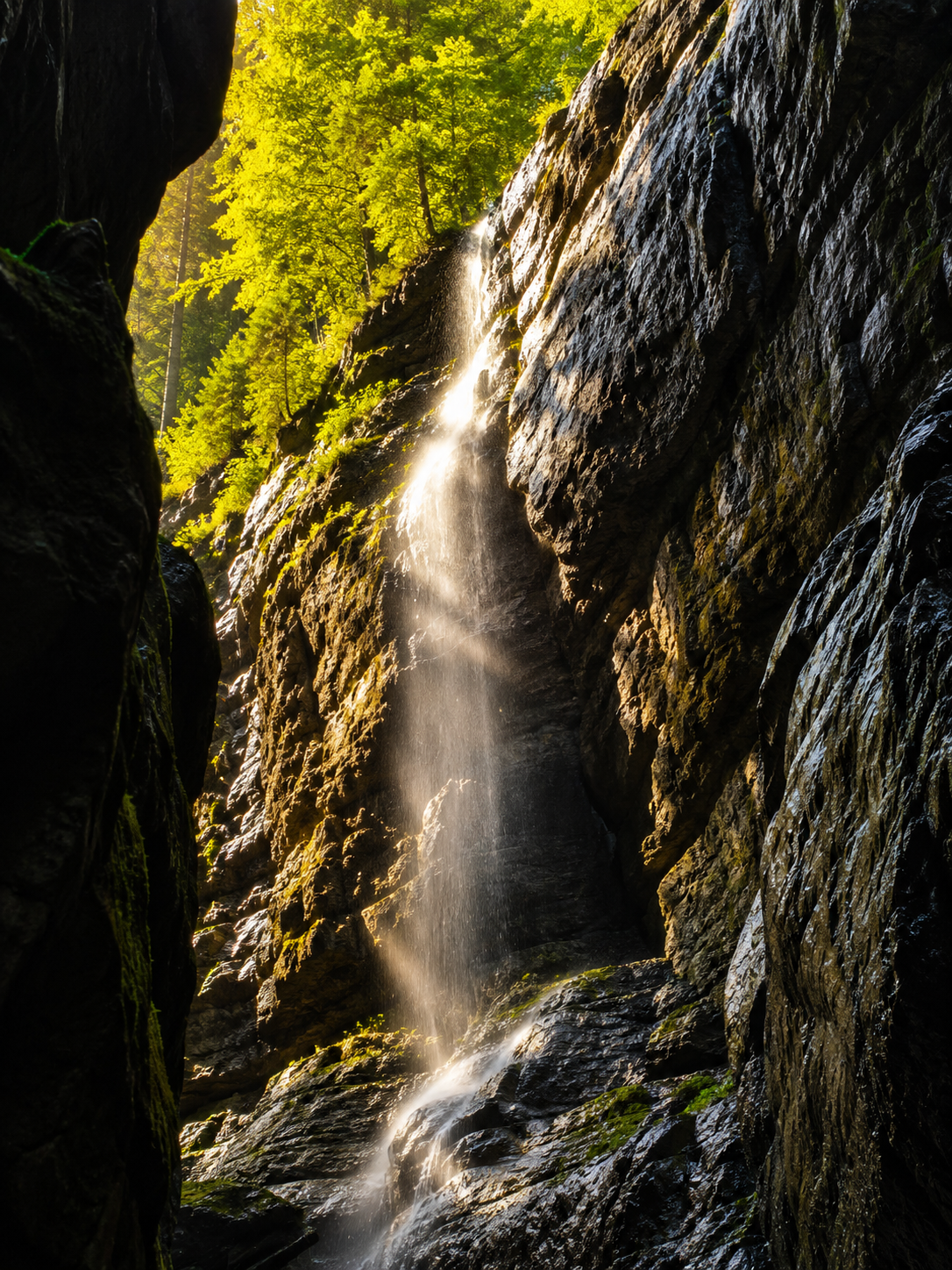 Geführte Naturerlebnisse